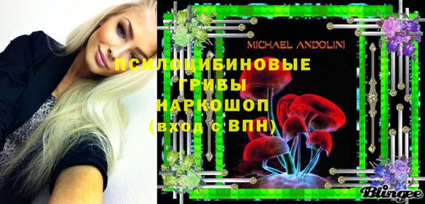 мдпв Майский