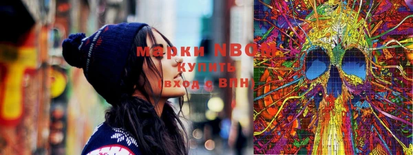 мдпв Майский