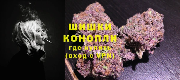 мдпв Майский