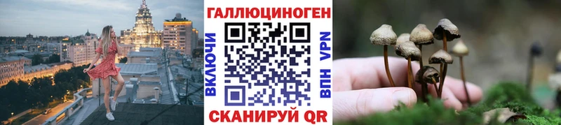 Псилоцибиновые грибы GOLDEN TEACHER  Купить где  Нытва 